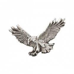 pin-fishing-eagle