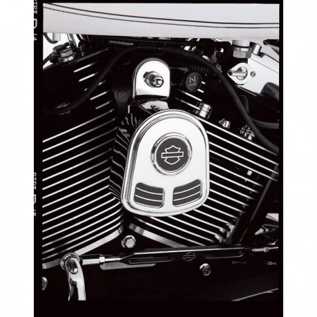 embellecedor-bocina-bar-shield-harley-sportster-93-up